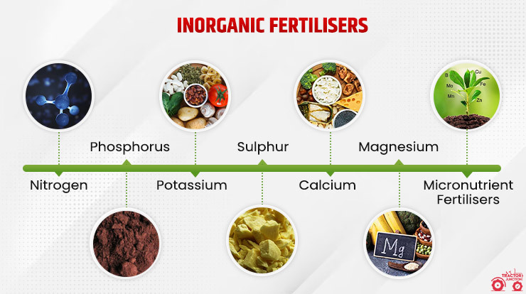 Types of Inorganic Fertilisers to Add for More Yield