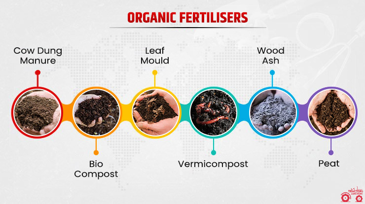 Types of Organic Fertilisers to Add in Your Farm
