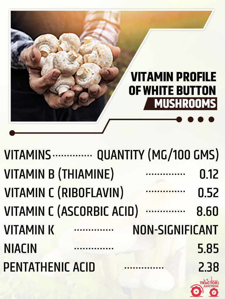 Vitamin Profile of White Button Mushrooms