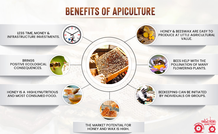 Benefits of Apiculture