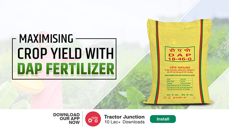 Benefits of DAP Fertilizer - Does it Help with Crop Yield
