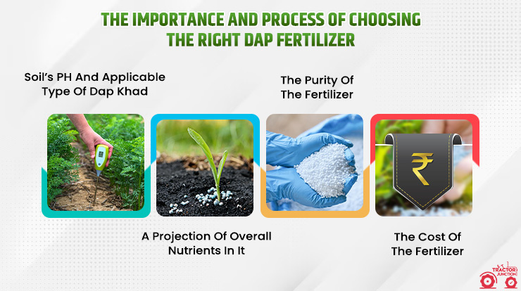 The importance and process of choosing the right DAP fertilizer