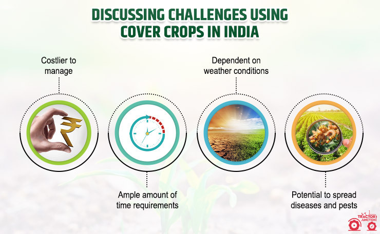 challenges using cover crops