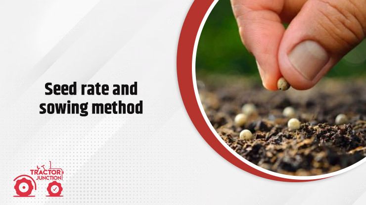 Seed rate and sowing method