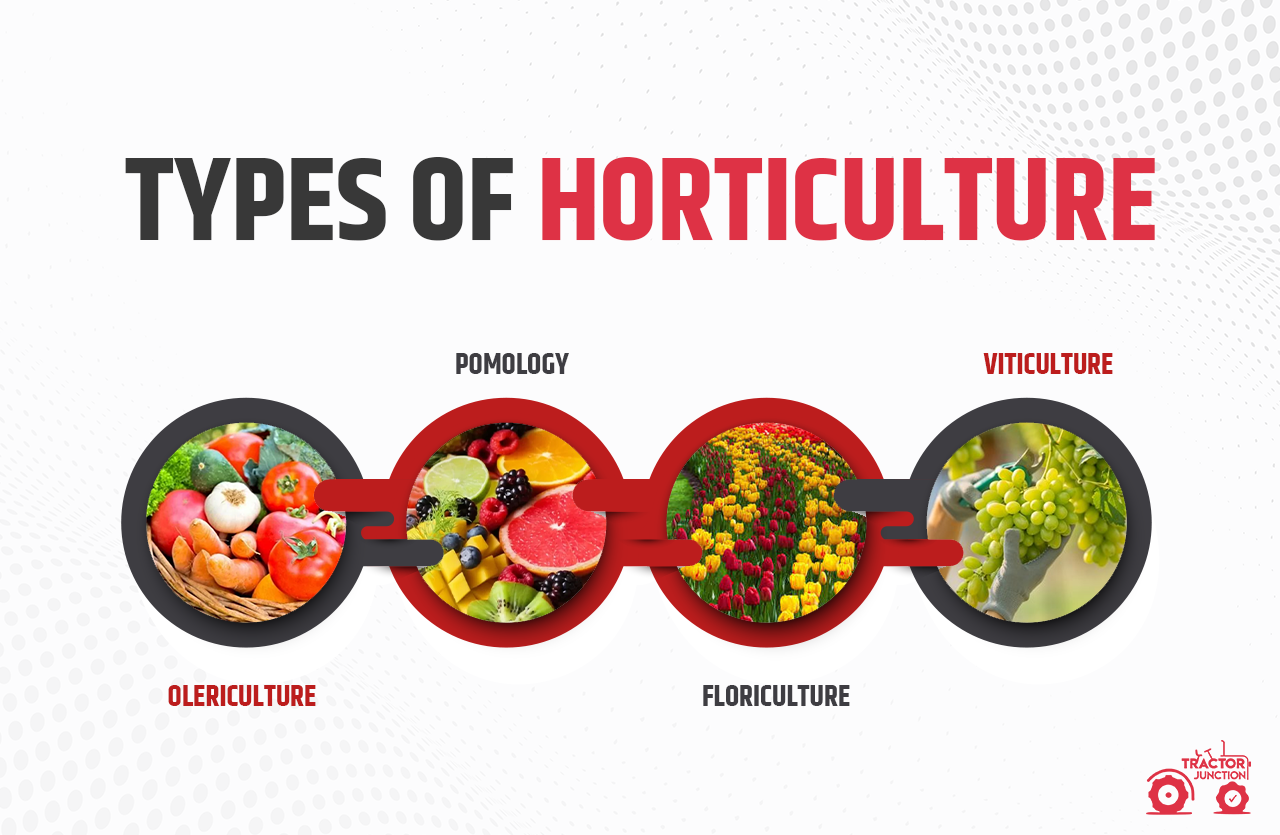 Types of Horticulture
