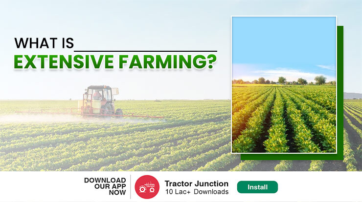 Everything You Need To Know About Extensive Farming In India