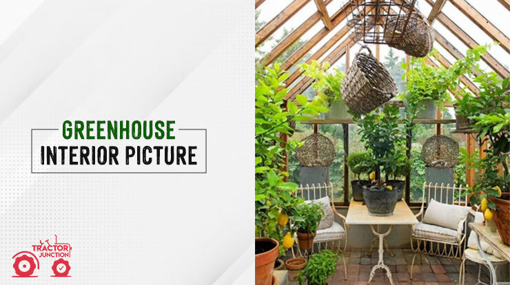 Greenhouse interior picture