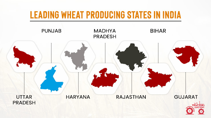 Leading Wheat Producing States in India