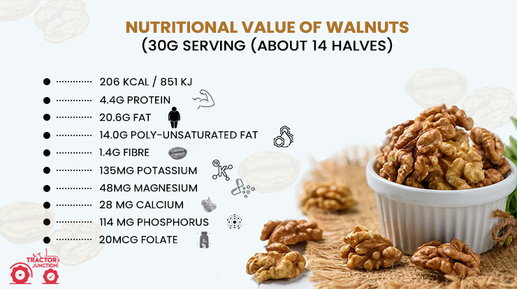 Nutritional value of Walnuts (30g serving (about 14 halves)