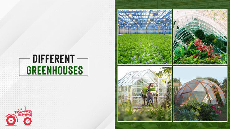 Pictures of 4 Different Greenhouses