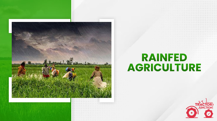 Rainfed agriculture 