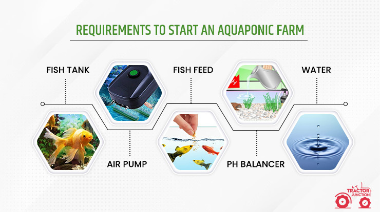 Requirements To Start An Aquaponic Farm
