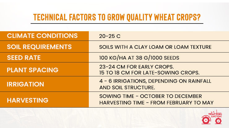 Technical Factors to Grow Quality Wheat Crops