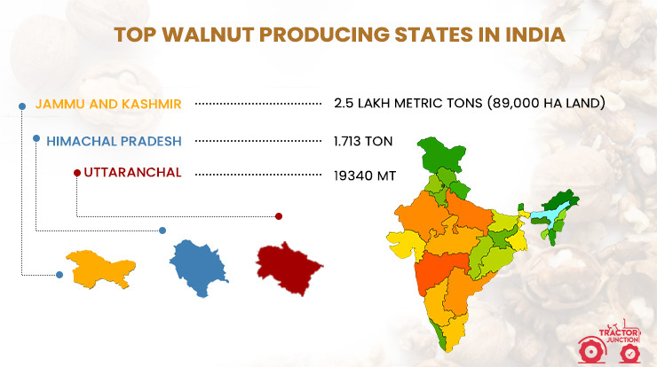 Top Walnut Producing States in India