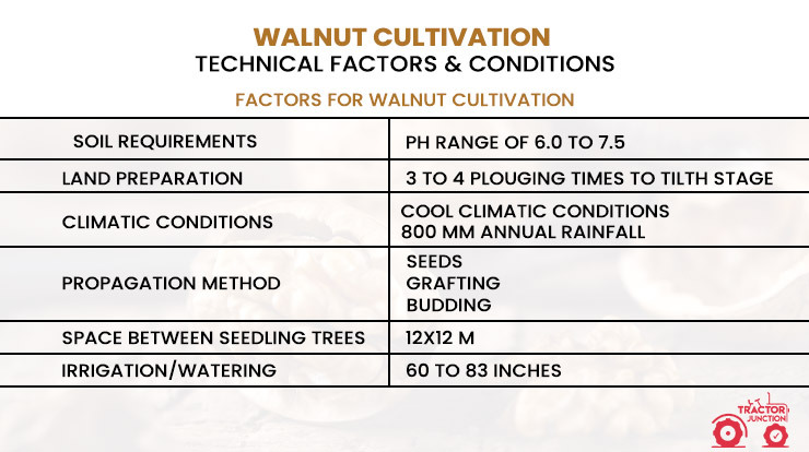 Walnut Cultivation - Technical Factors & Conditions