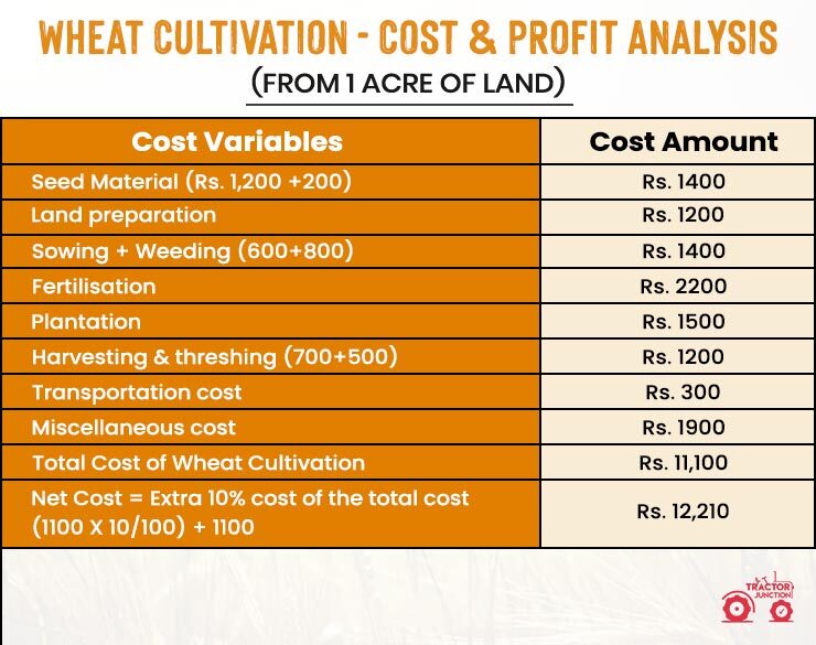 Wheat Cultivation - Cost & Profit Analysis (From 1 Acre of Land)
