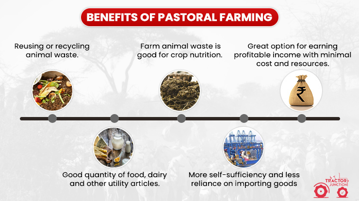 Benefits of Pastoral Farming