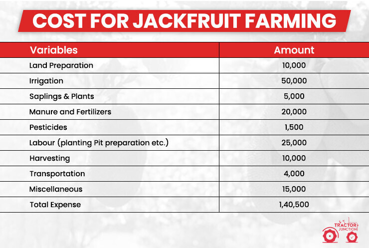 Cost for Jackfruit Farming