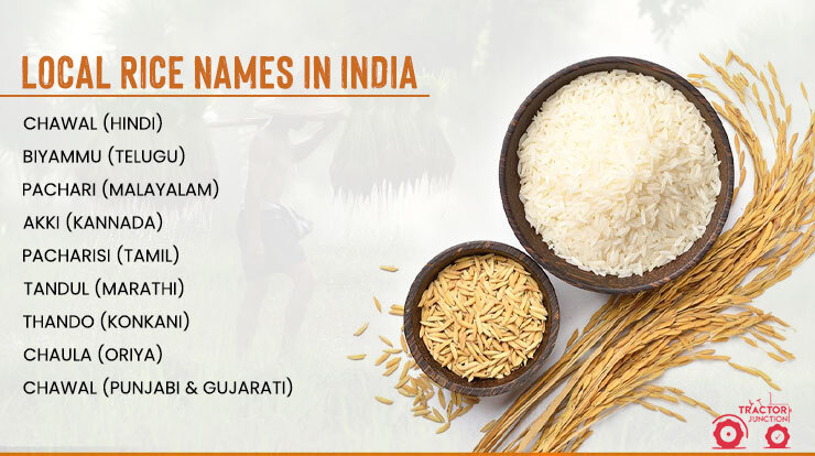 Local Rice Names in India