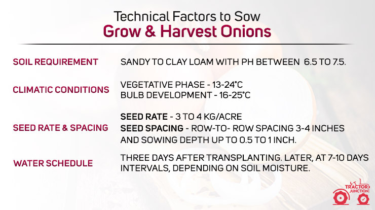 Technical Factors to Sow, Grow & Harvest Onions