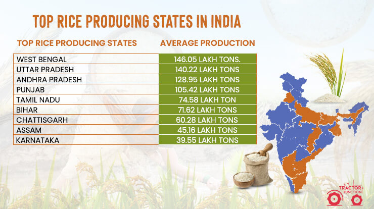 Top Rice Producing States in India