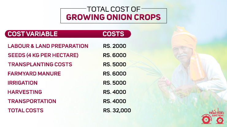 Total Cost of Growing Onion Crops