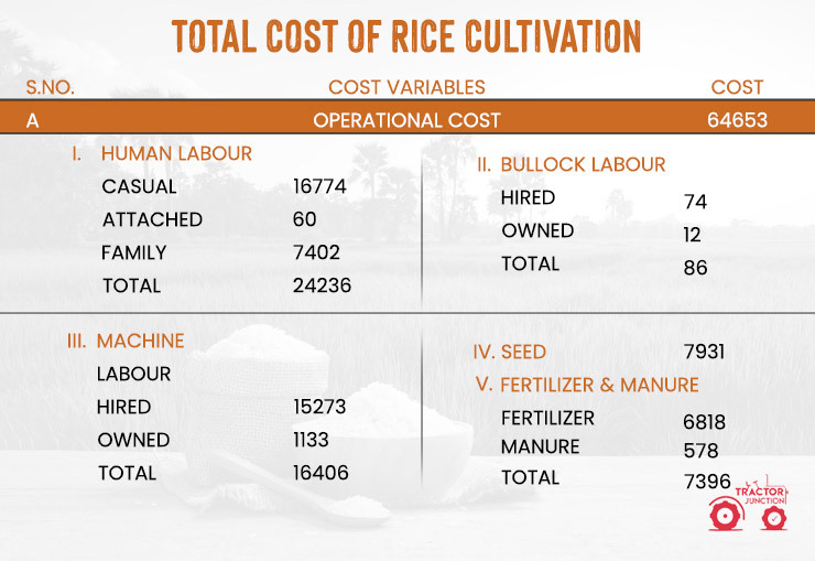 Total Cost of Rice Cultivation