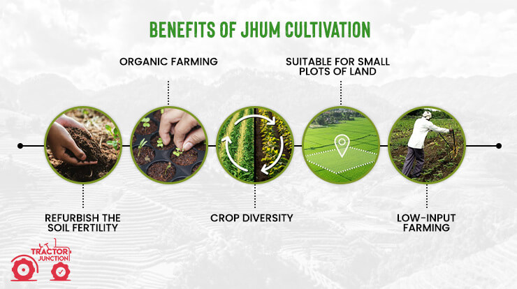 Benefits of Jhum Cultivation