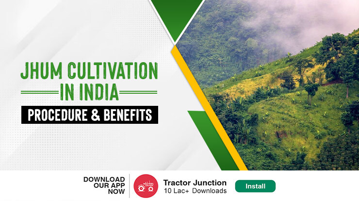 Jhum Cultivation: Explore Tradition and Sustainability