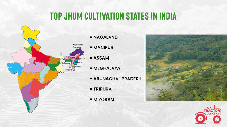 Top Jhum Cultivation States in India 