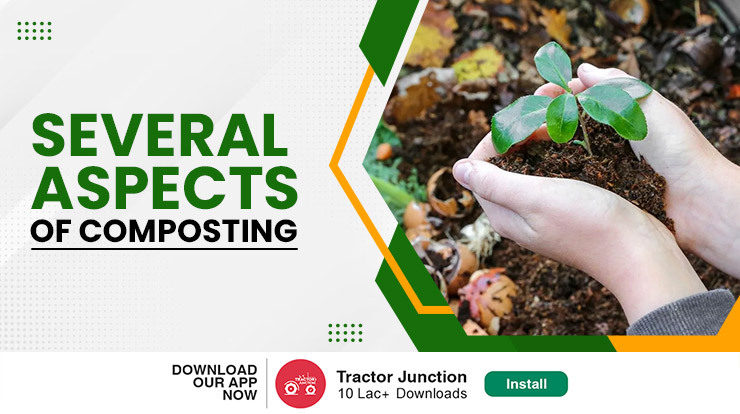 A Thorough Insight Into Several Aspects Of Composting