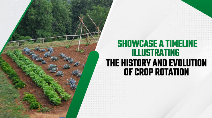 Showcase a timeline illustrating the history and evolution of crop rotation