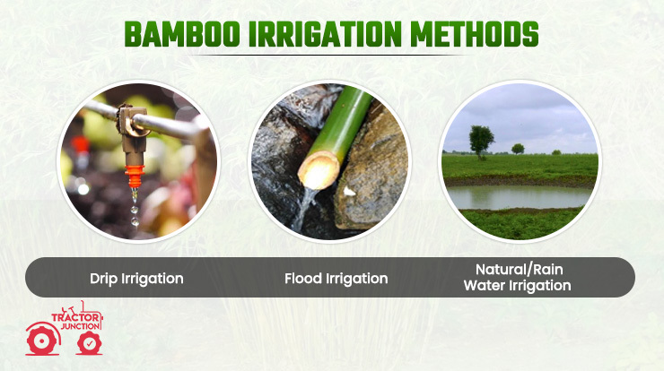 Bamboo Irrigation Methods