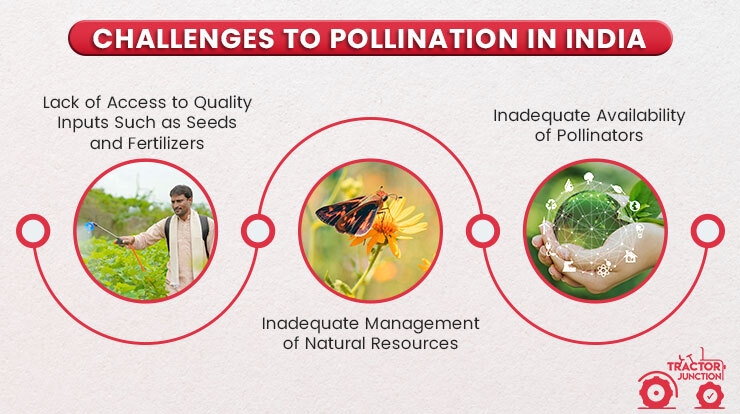 Challenges to Pollination in India