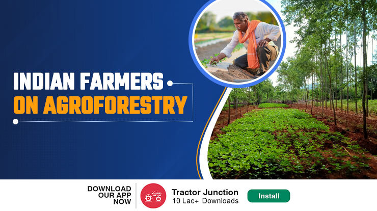 Power of Agroforestry Insights for Indian Farmers