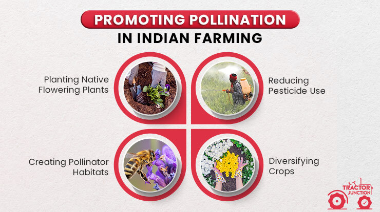 Promoting Pollination in Indian Farming