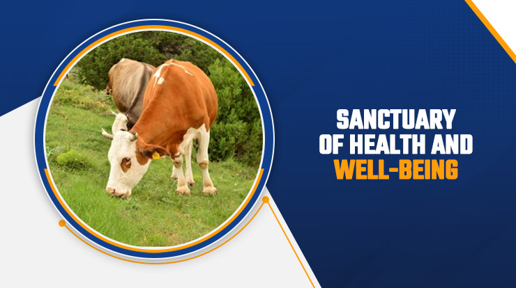 Sanctuary of health and well-being