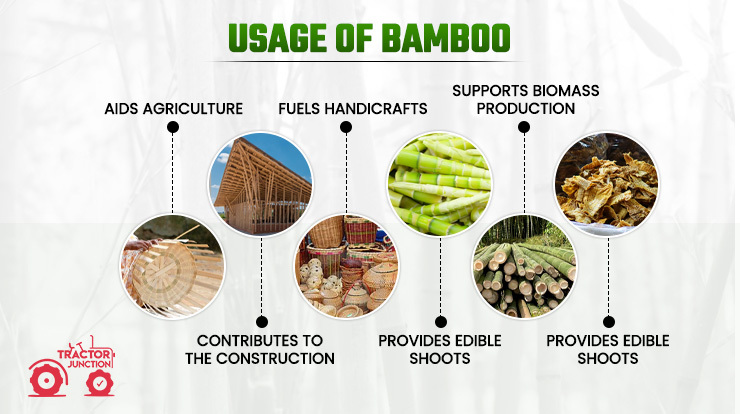 Usage of Bamboo