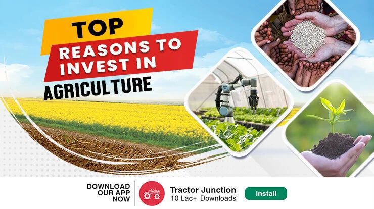 Explore the Top Reasons for Agriculture Investment