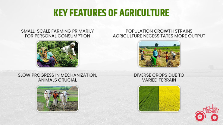 Key Features of Agriculture