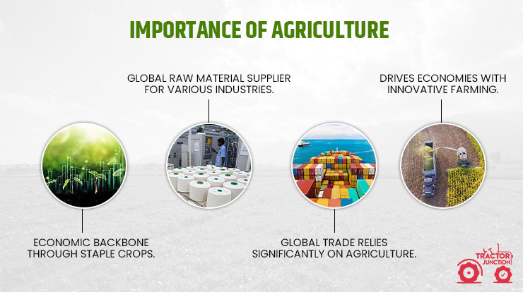 Importance Of Agriculture