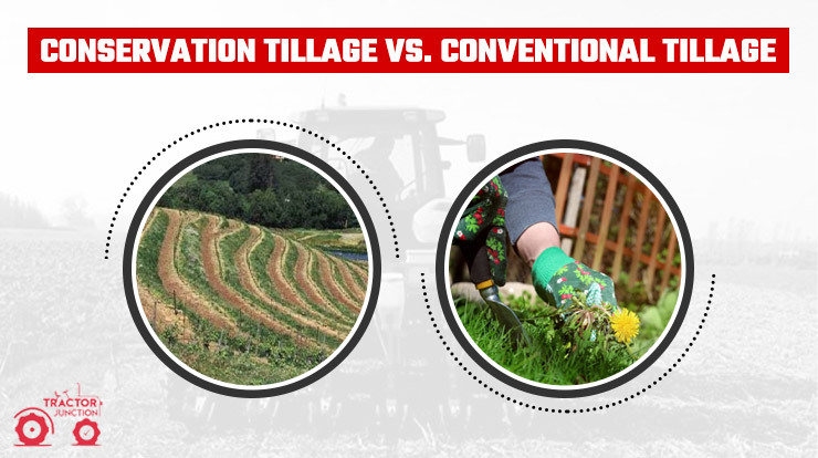 Conservation Tillagе vs. Conventional Tillagе
