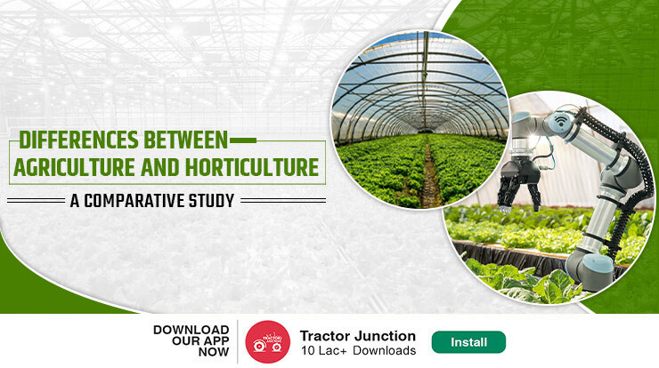 Differences between Agriculture and Horticulture: A Comparative Study