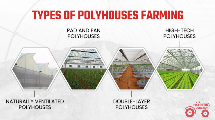 Types Of Polyhouses Farming