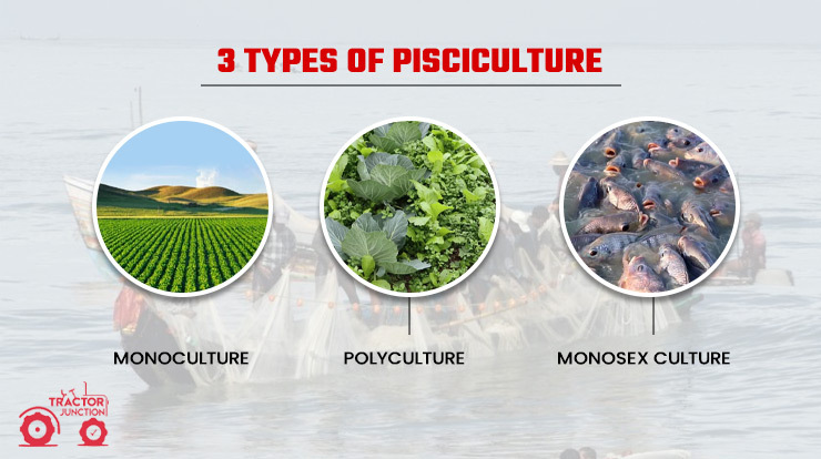 3 Types Of Pisciculture