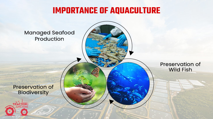 Importance Of Aquaculture