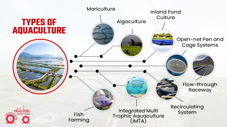 Types Of Aquaculture
