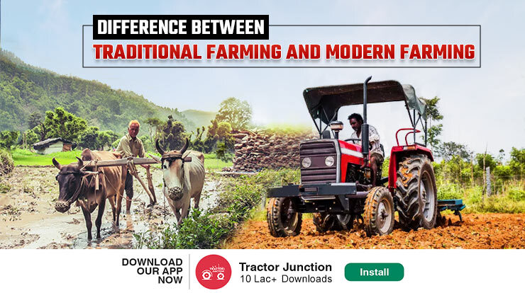 Difference Between Traditional and Modern Farming