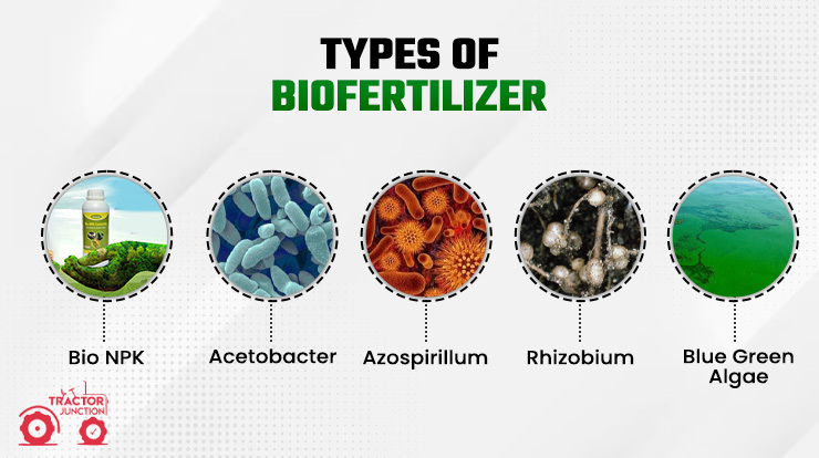 Types Of BioFertilizer