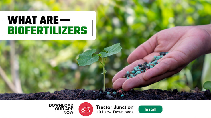What are Biofertilizers
